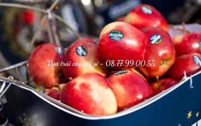 Táo Dazzle là táo gì? Giá bao nhiêu 1kg?